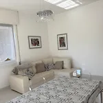 Sun & Comfort Noli