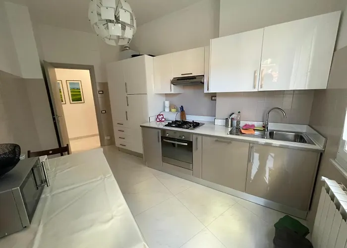 Sun & Comfort * 诺利